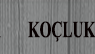 kocluk