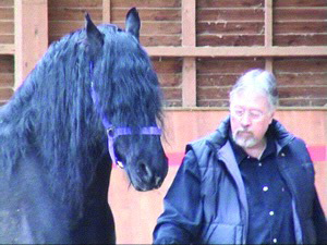horse3