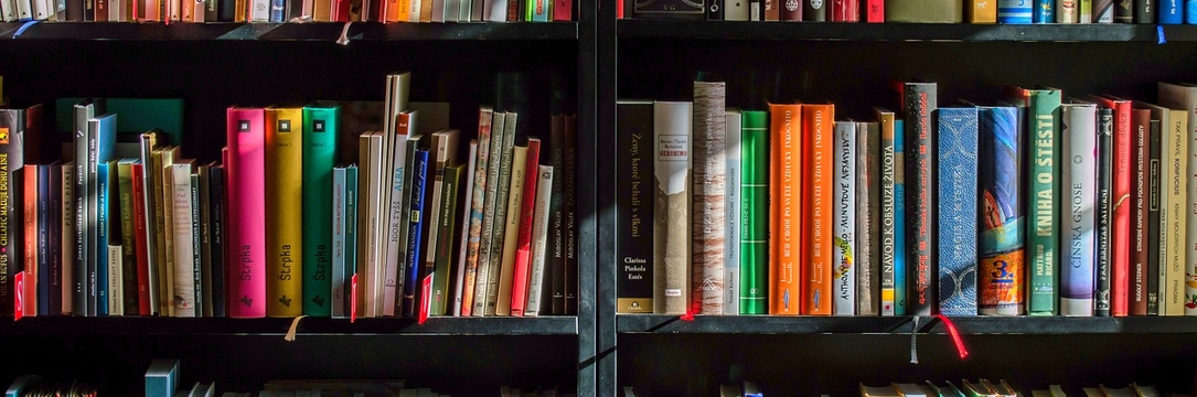 bookshelves-932780_1280